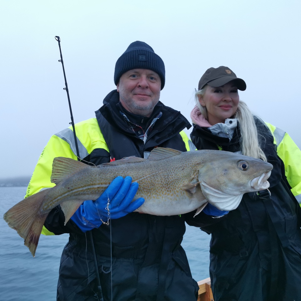 Catching a big Atlantic cod on a fishing trip in Kollafjørður